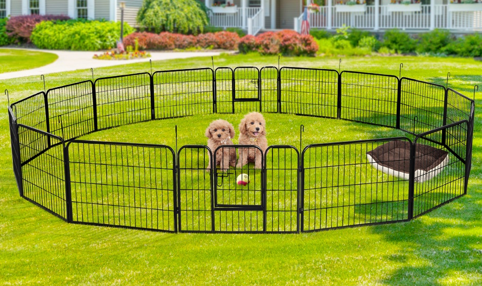 Temporary Dog Fence