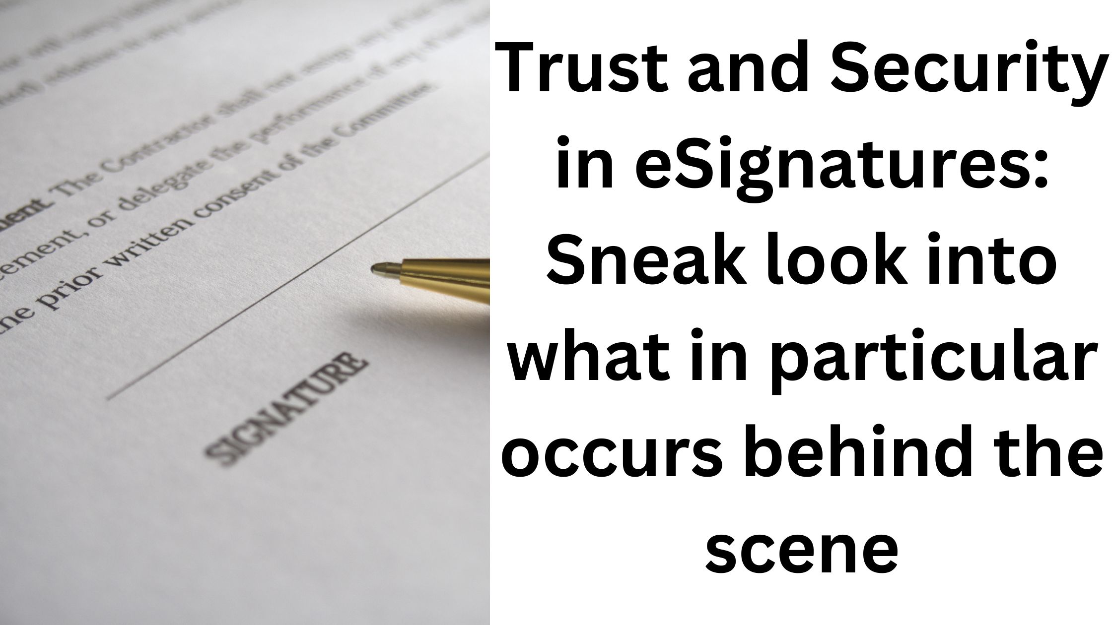 Trust and Security in eSignatures: Sneak look into what in particular occurs behind the scene￼
