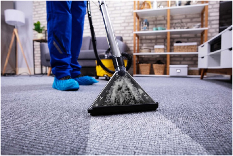 The 10 Best Carpet Cleaning Services in Winchester!