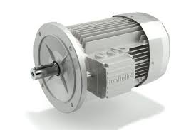 SELECTING THE RIGHT U.S. ELECTRIC MOTOR 