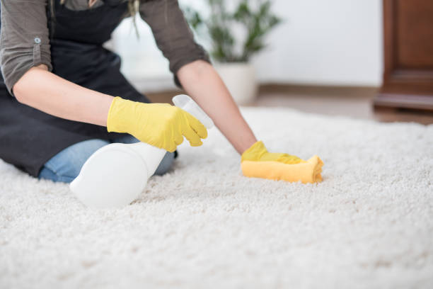 Reasons to Hire a Carpet Cleaning Service
